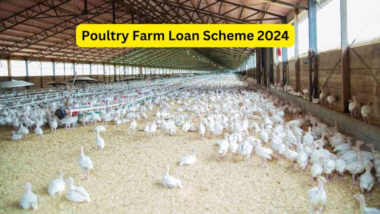 Poultry Farm Loan Scheme 2024