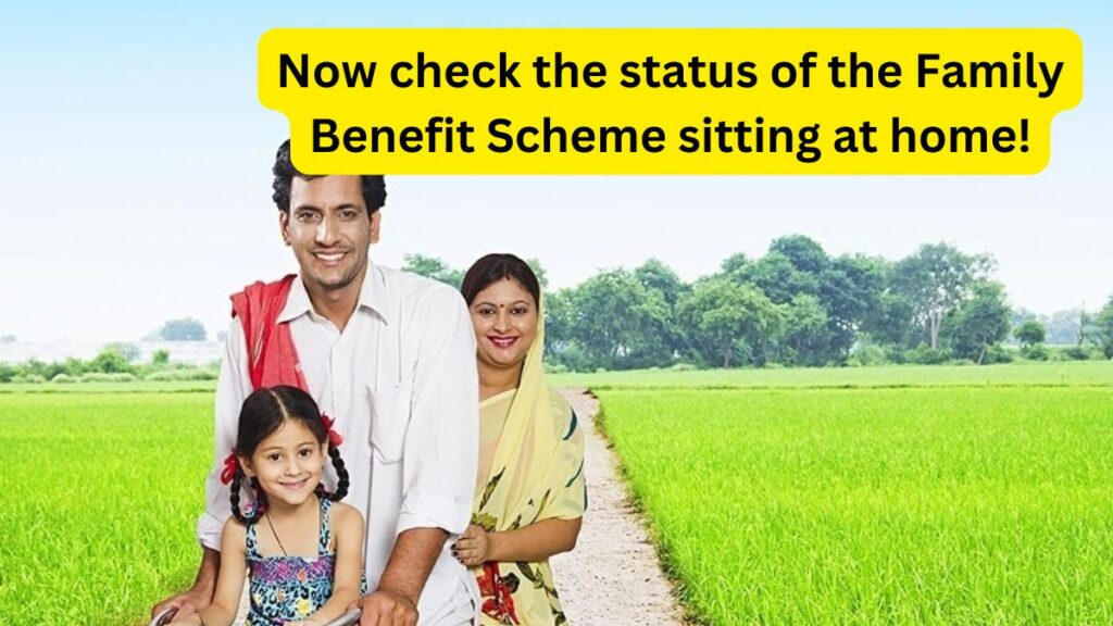 Family Benefit Scheme Status Check 2024