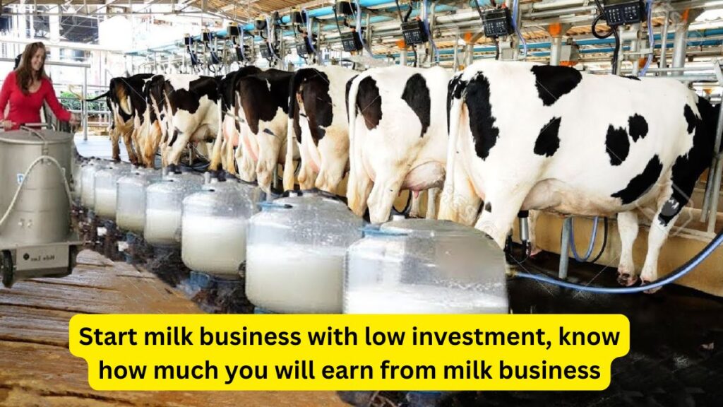 Dairy Business Ideas in India