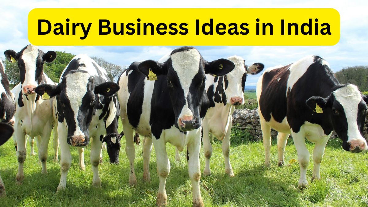 Dairy Business Ideas in India