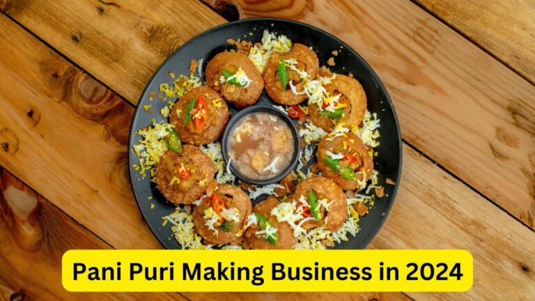 Pani Puri Making Business in 2024